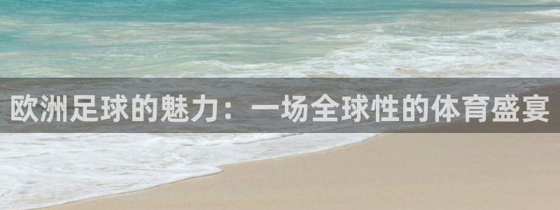  意昂官网入口登录：欧洲足球的魅力：一场全球性的体育盛宴