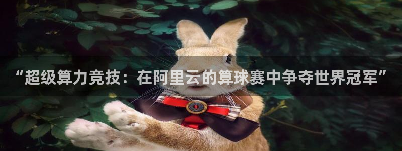  意昂平台官网：“超级算力竞技：在阿里云的算球赛中争夺世界冠军