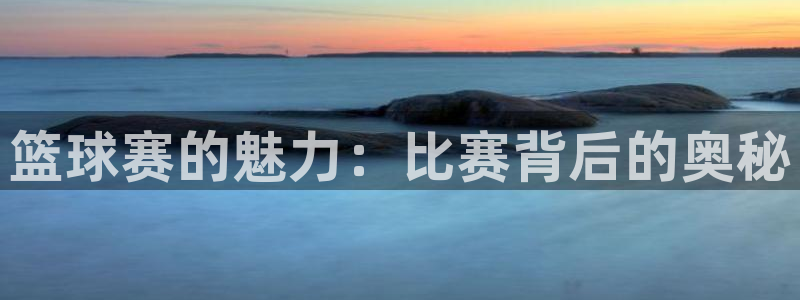 意昂平台登录入口2025：篮球赛的魅力：比赛背后的奥秘