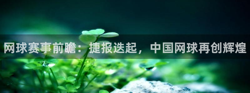 意昂体育是正规平台的吗：网球赛事前瞻：捷报迭起，中国网球再创