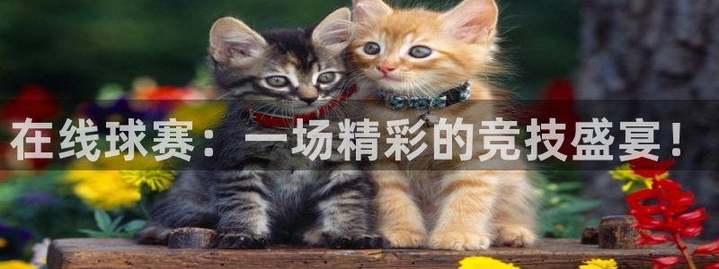 意昂注册：在线球赛：一场精彩的竞技盛宴！
