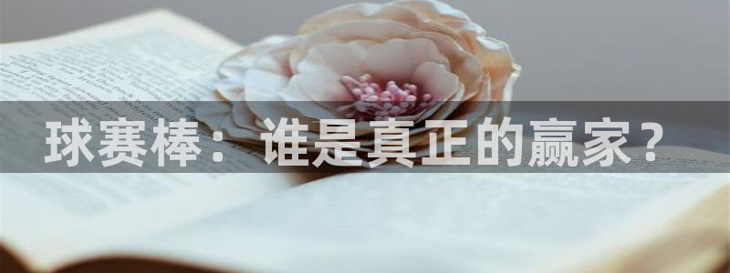 意昂平台官网：球赛棒：谁是真正的赢家？
