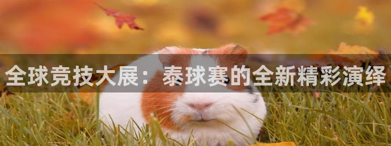 意昂体育app官方网站入口在线观看：