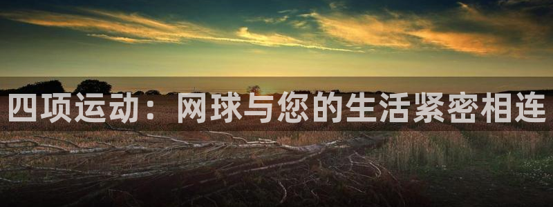 意昂平台登录方法：四项运动：网球与您