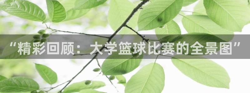 意昂登录：“精彩回顾：大学篮球比赛的