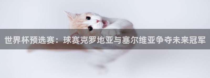  意昂体育是正规平台的吗：世界杯预选赛：球赛克罗地亚与塞尔维亚