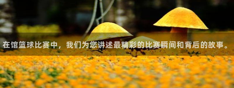 意昂登录：在馆篮球比赛中，我们为您讲