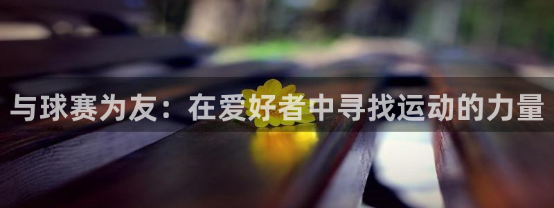  意昂注册：与球赛为友：在爱好者中寻找运动的力量