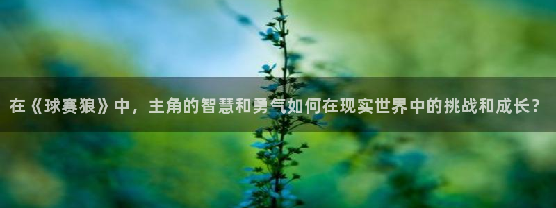 意昂注册：在《球赛狼》中，主角的智慧