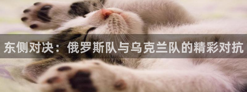 意昂平台：东侧对决：俄罗斯队与乌克兰队的精彩对抗
