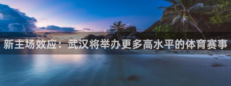  意昂官网入口登录：新主场效应：武汉将举办更多高水平的体育赛事