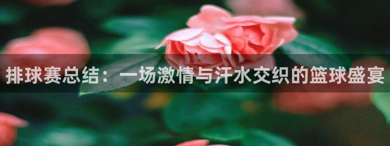 意昂官网入口登录：排球赛总结：一场激