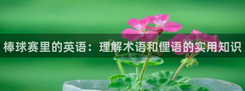  意昂体育app正版下载安装：棒球赛里的英语：理解术语和俚语的