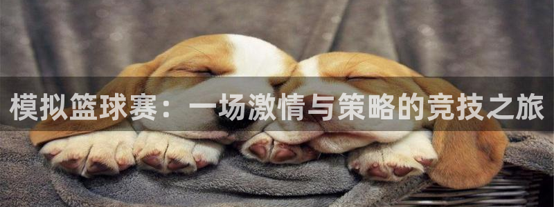 意昂官网注册平台：模拟篮球赛：一场激情与策略的竞技之旅
