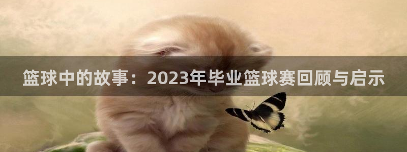 意昂体育是正规平台的吗：篮球中的故事