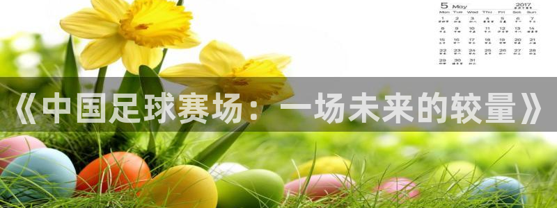 意昂平台登录方法：《中国足球赛场：一场未来的较量》