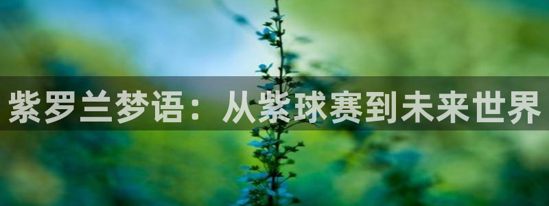 意昂平台官网：紫罗兰梦语：从紫球赛到
