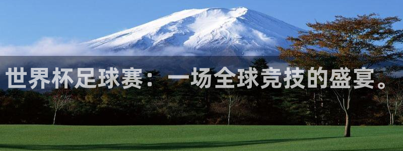 意昂平台官网：世界杯足球赛：一场全球