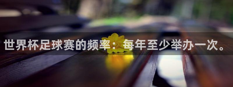 意昂体育app官方网站入口下载：世界杯足球赛的频率：每年至少