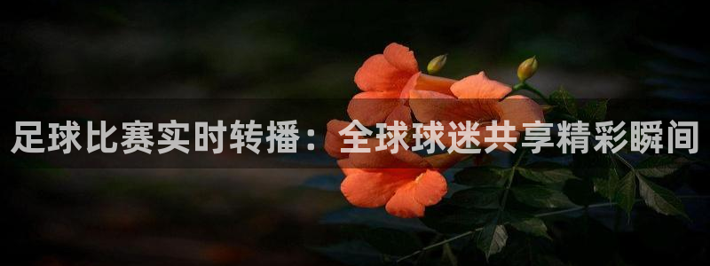 意昂平台登录方法：足球比赛实时转播：