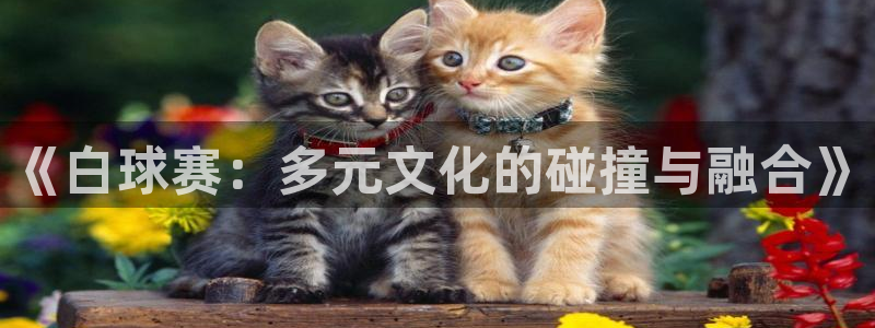 意昂登录：《白球赛：多元文化的碰撞与融合》