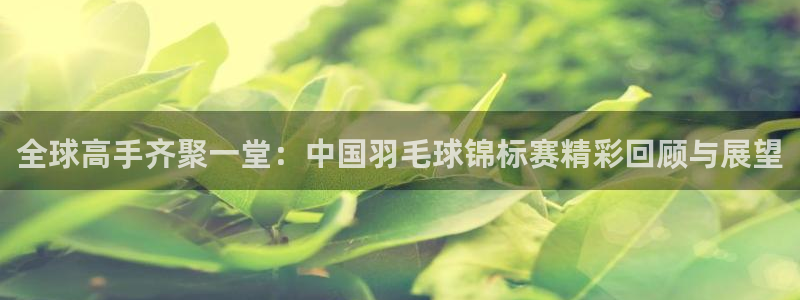  意昂体育app官方下载安装：全球高手齐聚一堂：中国羽毛球锦标