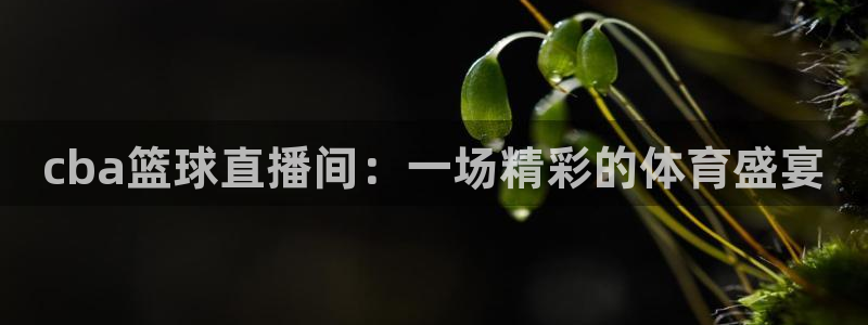 9255tv直播nba在线直播：cba篮球直播间：一场精彩的体育盛宴