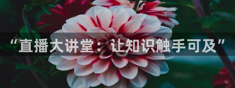 9255tv直播nba在线直播：“直播大讲堂：让知识触手可及”