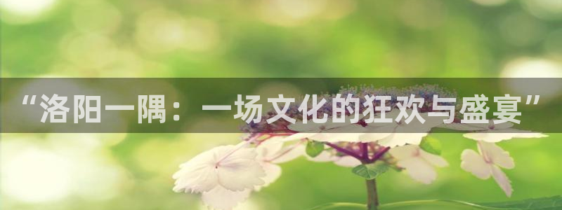 9255tv直播无插件nba：“洛阳一隅：一场文化的狂欢与盛宴”