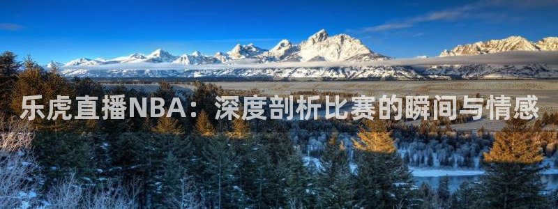 9255tv直播无插件nba：乐虎直播NBA：深度剖析比赛的瞬间与情感
