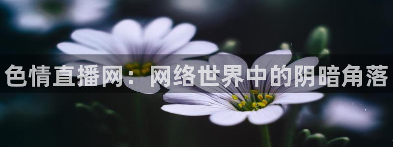 9255tv直播nba在线直播：色情直播网：网络世界中的阴暗角落