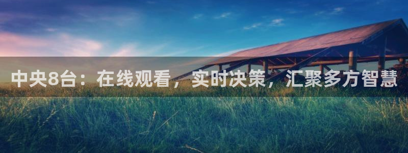 9255tv直播无插件nba：中央8台：在线观看，实时决策，汇聚多方智慧